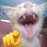 Tommaso--