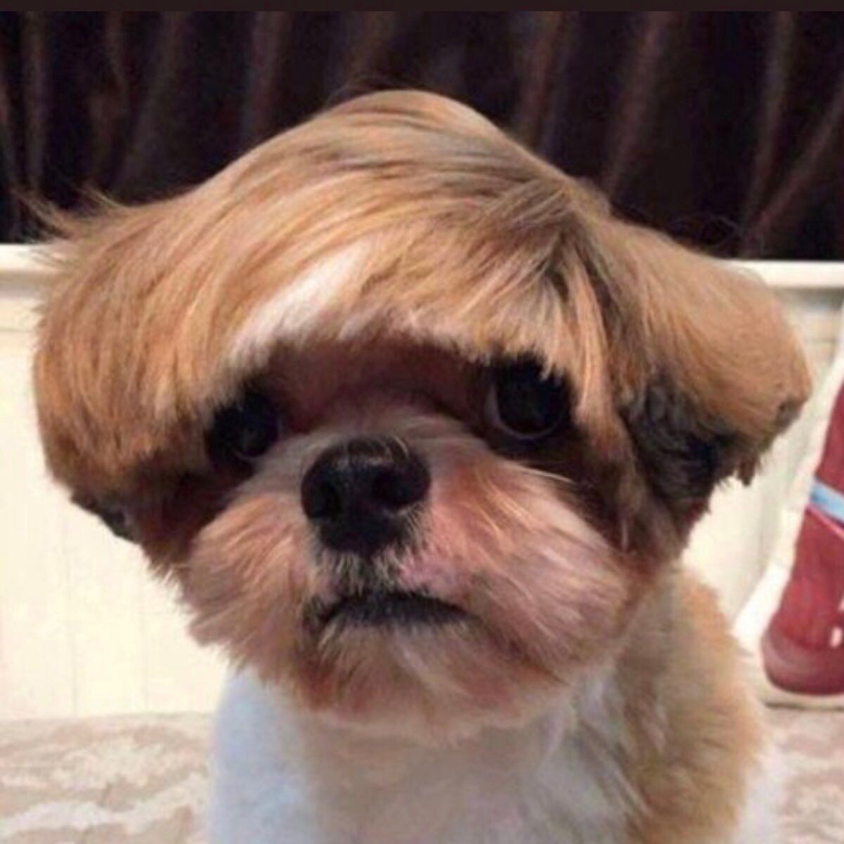TiKiT0