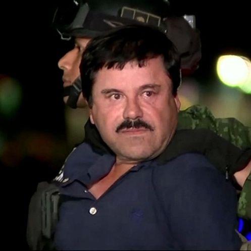 0ElChapo avatar