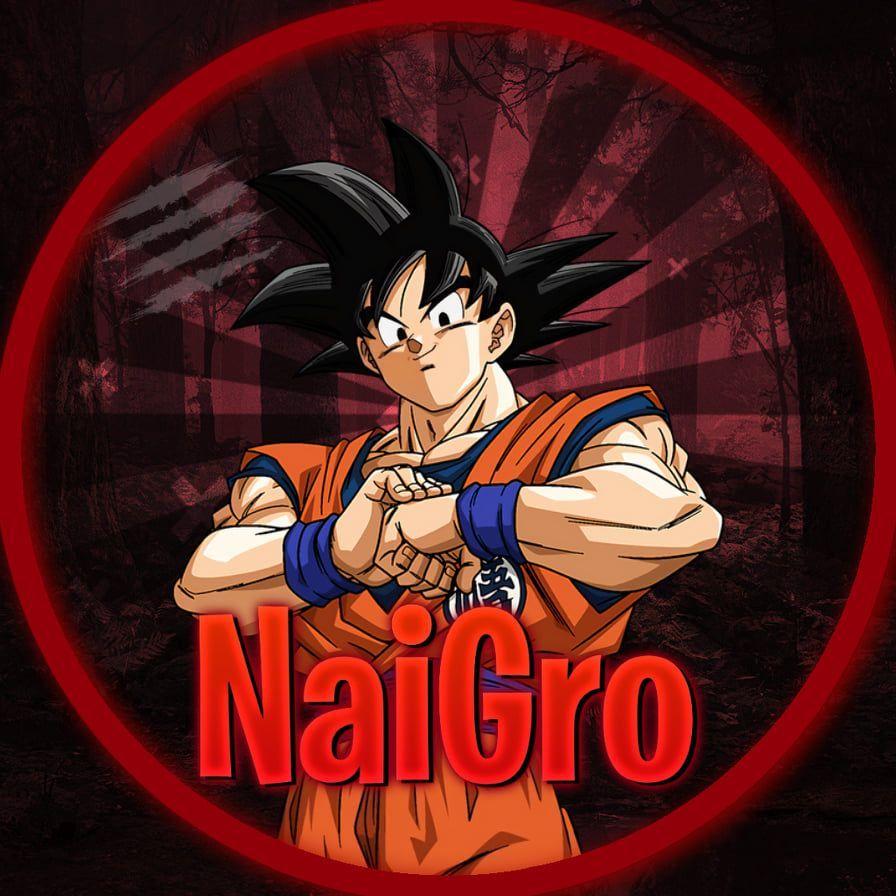 NaiGro2 avatar