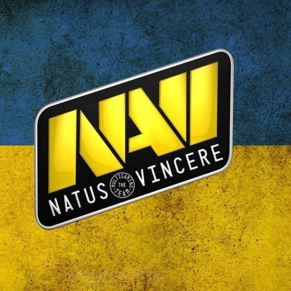 Paluges FACEIT avatar