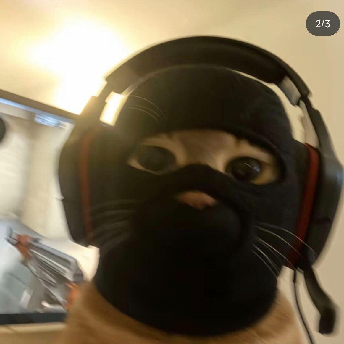 trestii avatar