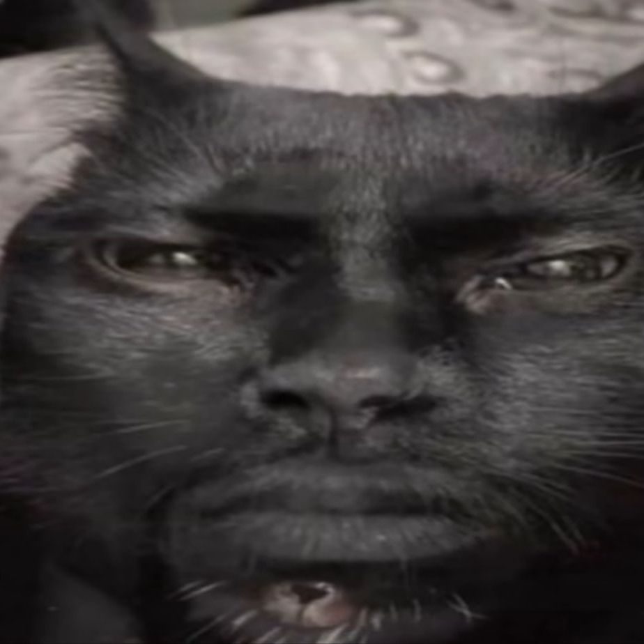 Molestadinh0