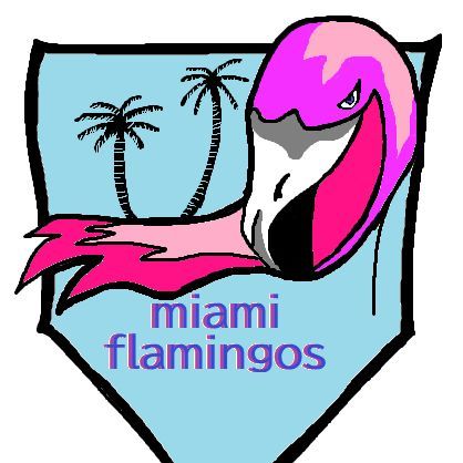 Miami Flamingos
