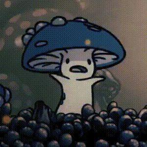 domnumatache avatar