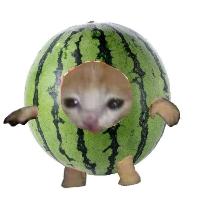 t11de