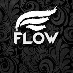 mr-flow avatar