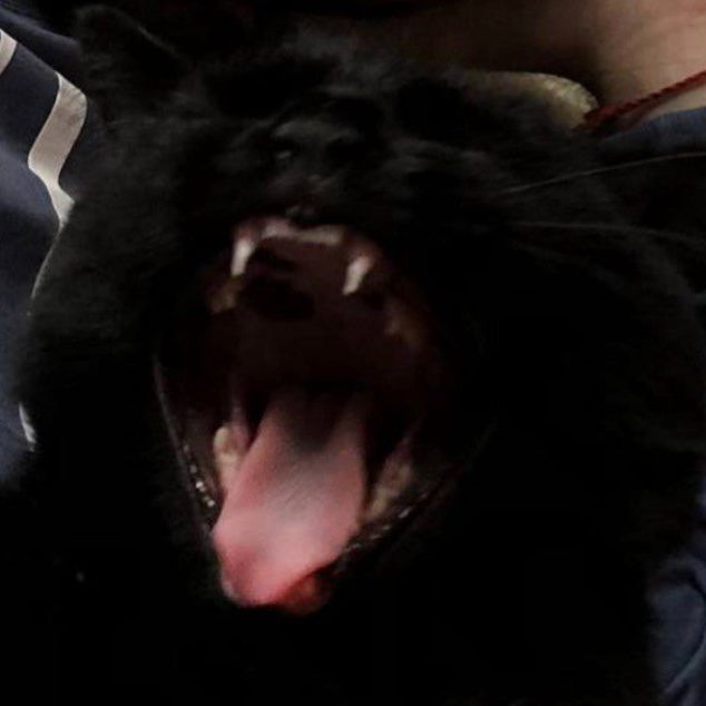 NuuuuuTL