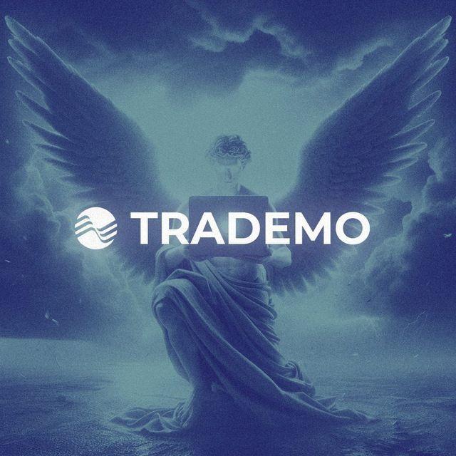 TradeMO avatar