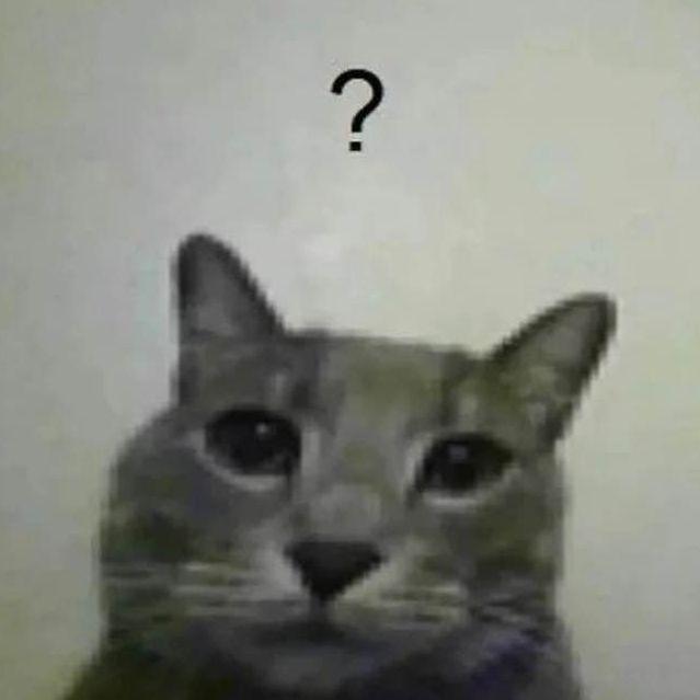 notmeowgii avatar