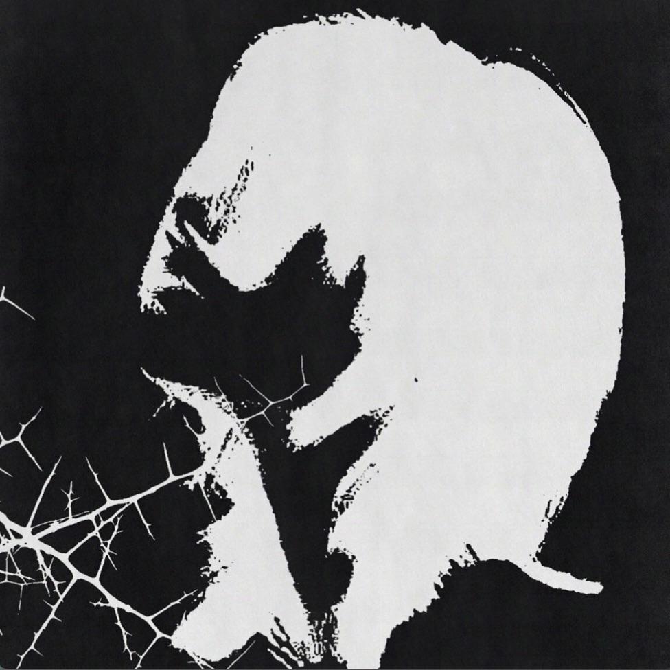 st0rmezzz avatar