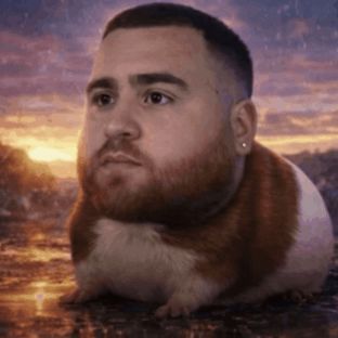 Mrmojojo