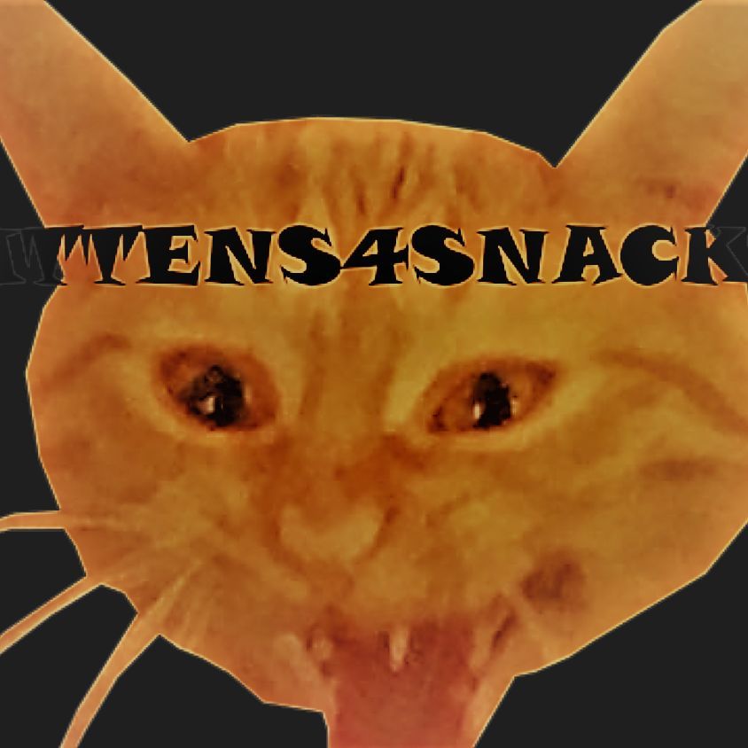 kitten4snack