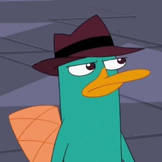 DerZiomx avatar