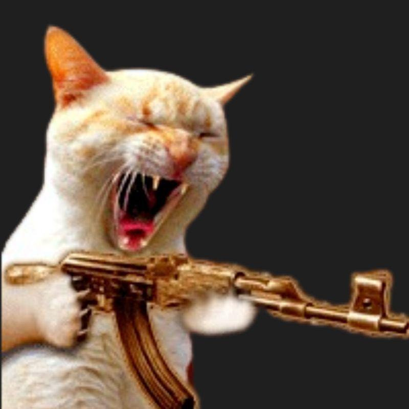 Exxert avatar