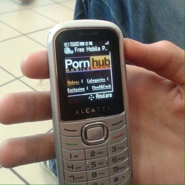 4PanfiL