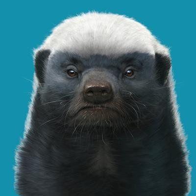 Texugo20
