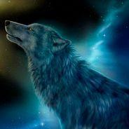 Player WolfyNewbie avatar
