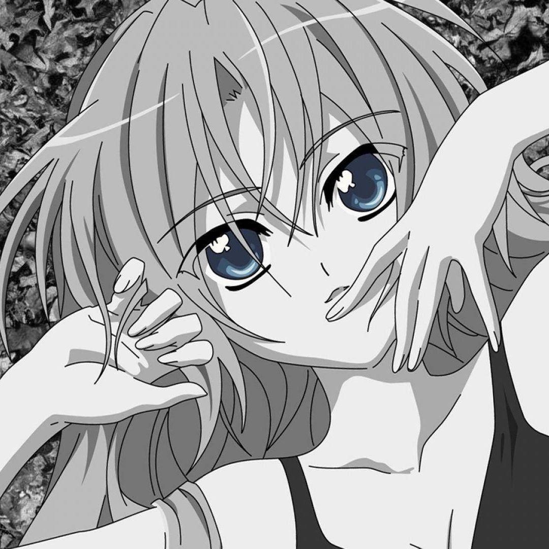 edvindkz avatar