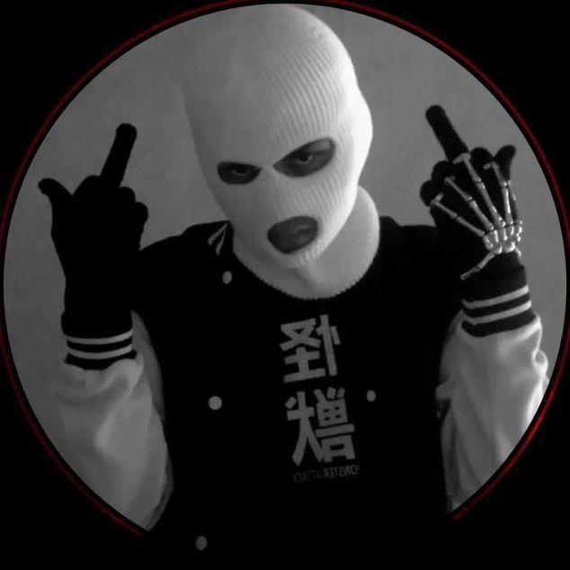 Pu1sek avatar
