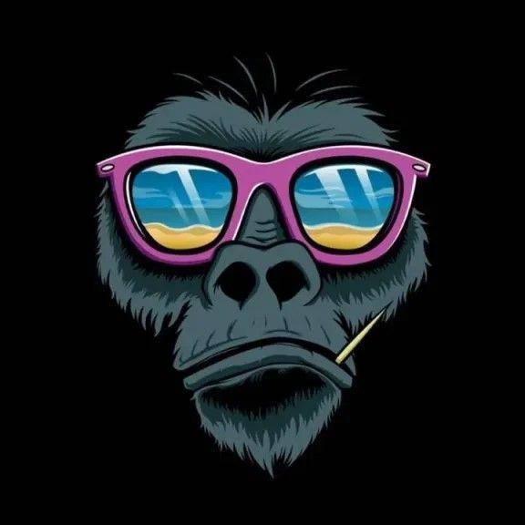 cndysh0p avatar