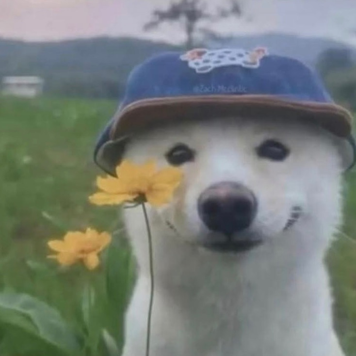 fnxconnor