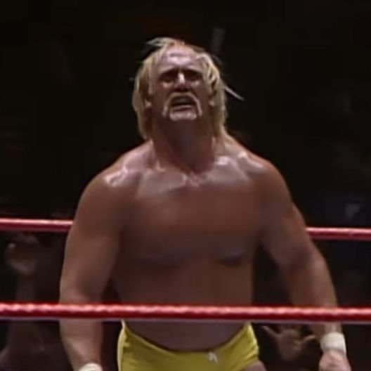 Hulk_Hogan
