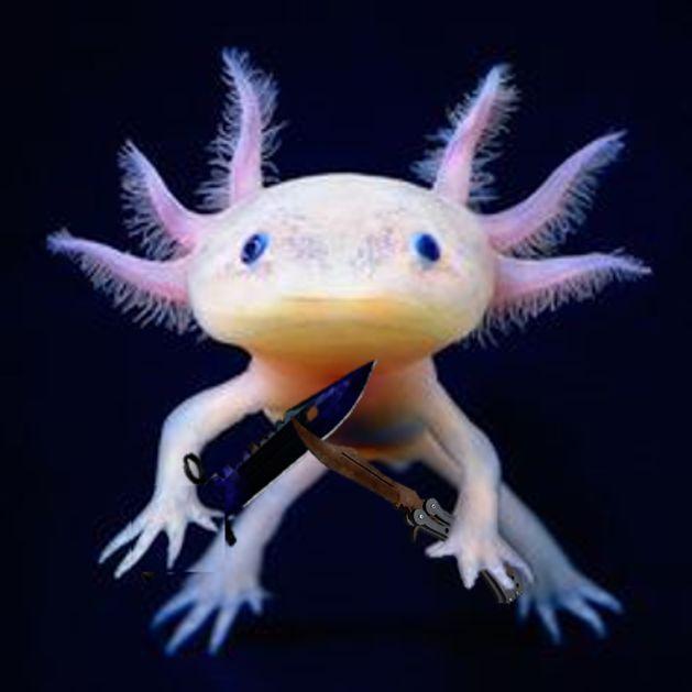 l0lball avatar
