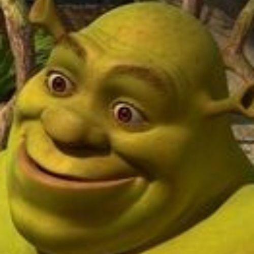 Sanyarozl avatar