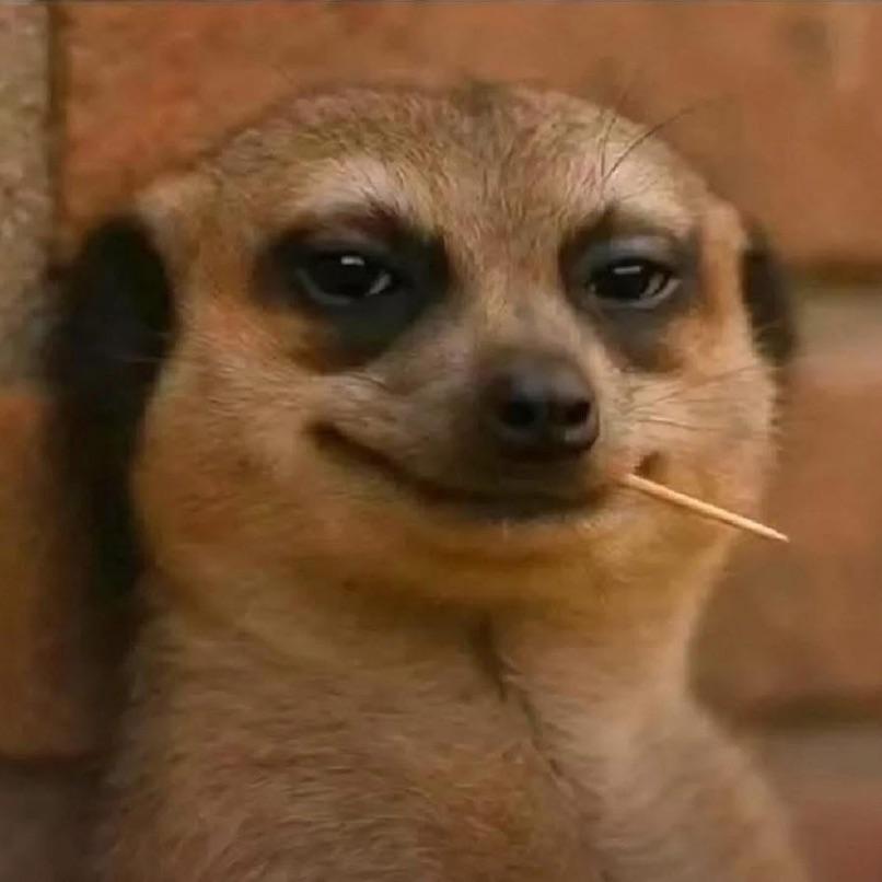 -anjaboL avatar