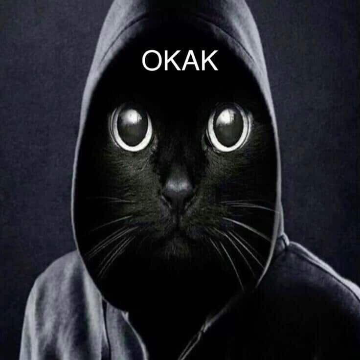 VaHa_BrOkLYN avatar