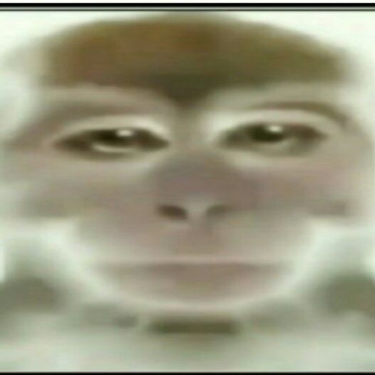 BEZ_TPYCUKOB