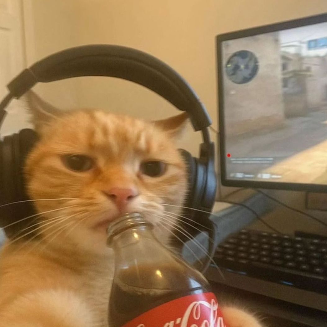 Nickydeez