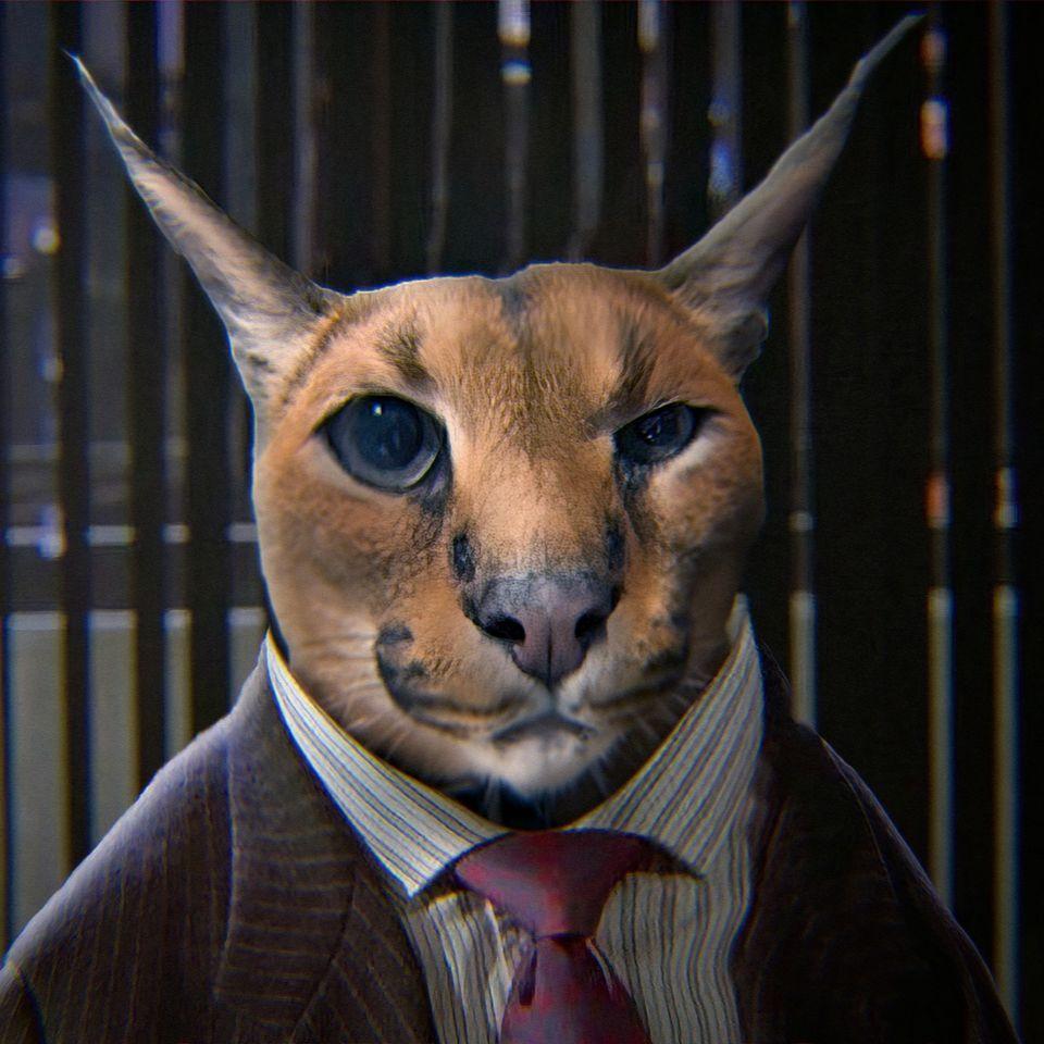 MaFaPro avatar