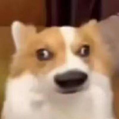 NANOBOOTS
