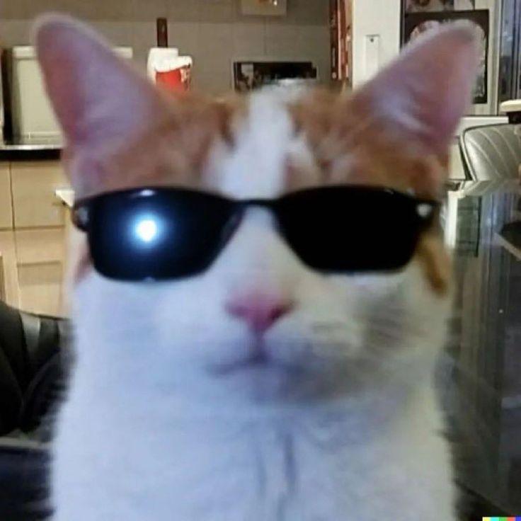 k0m1ss
