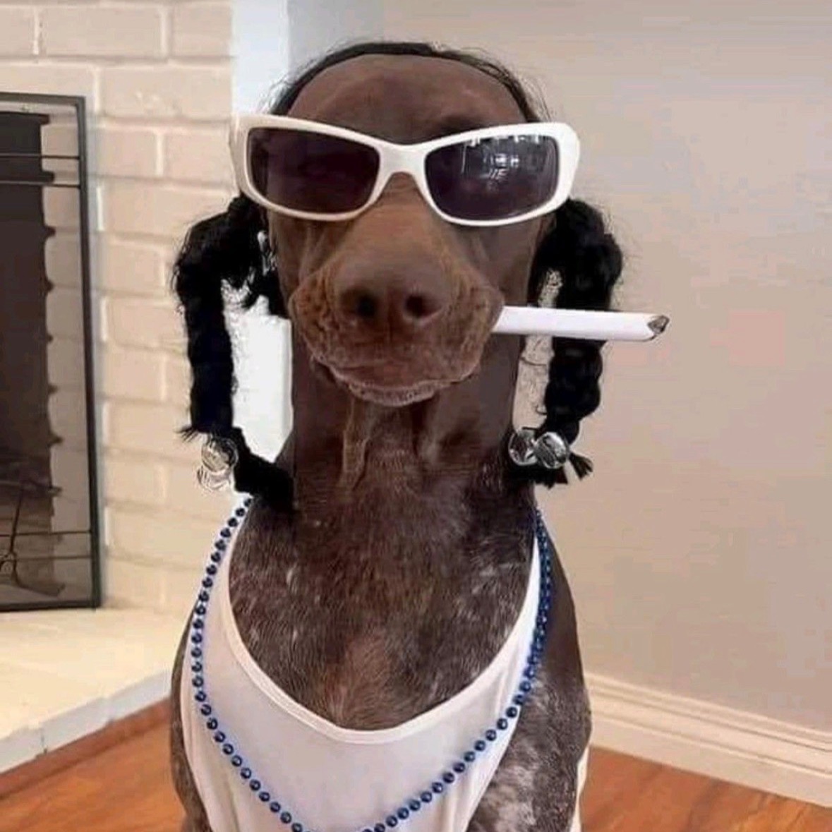 nyzzell