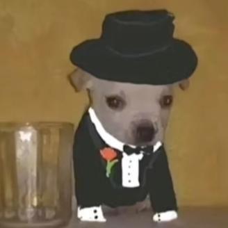 Bambula avatar
