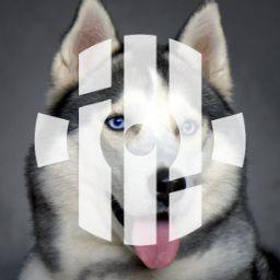 Husky-_-- avatar