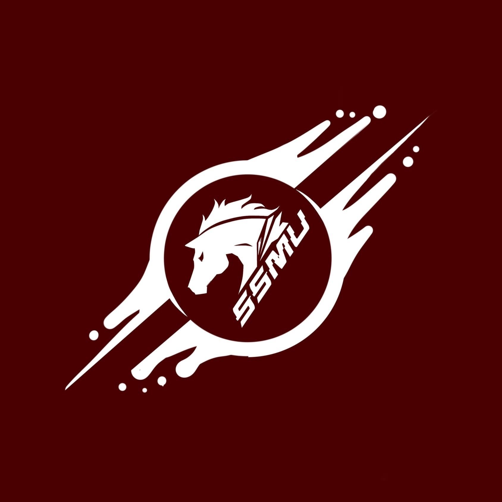 SIBMED GAMING