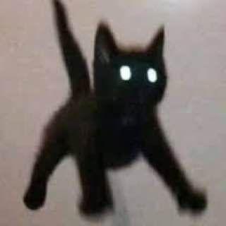N1kr01 avatar