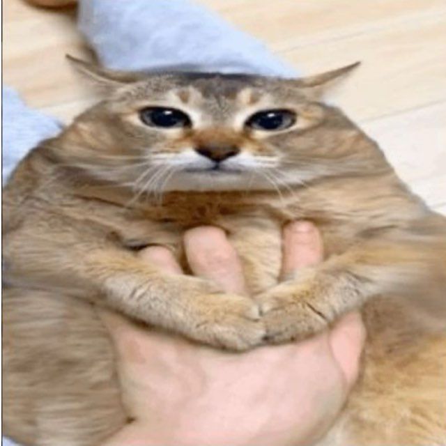 Semerik7 avatar