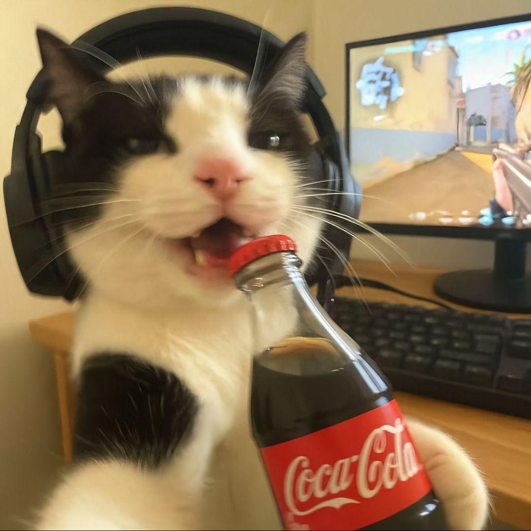 shmyov avatar