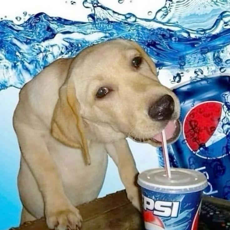 verso-pepsi