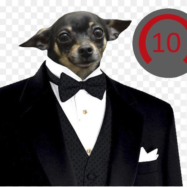 R1DDLLE avatar