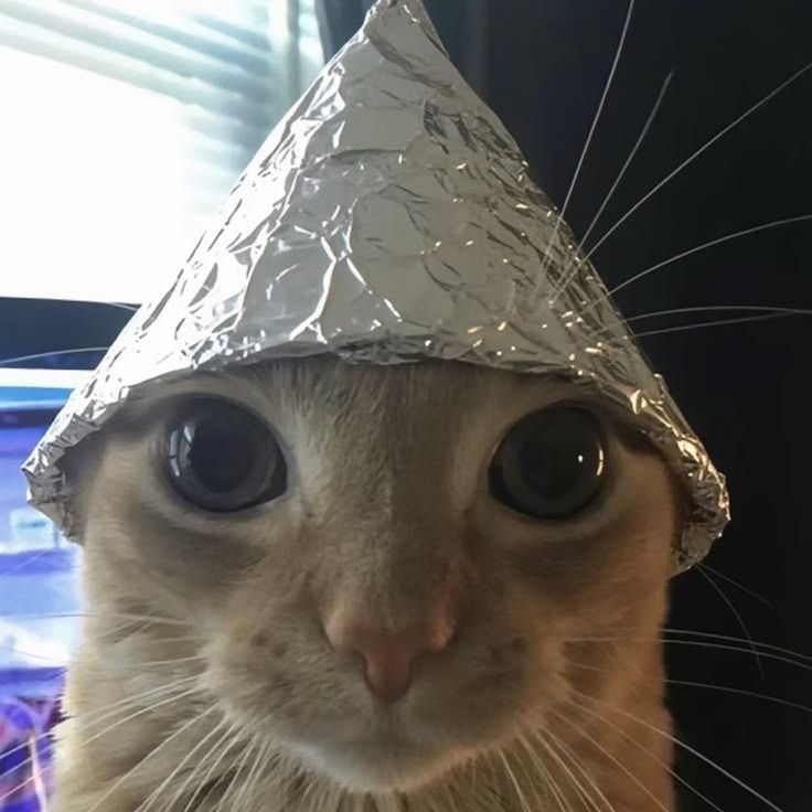 Zxc_Grusha