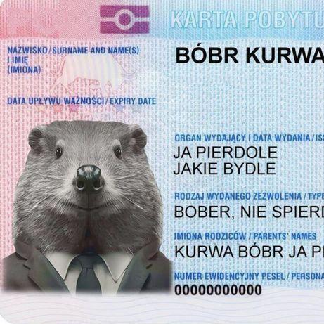 Bobr_PL avatar