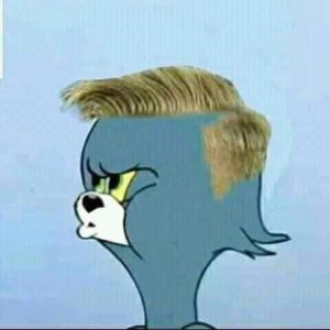 CZUPAKKOX