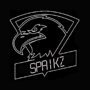 spaikz_C avatar