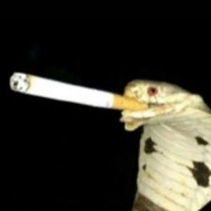 ha4iik